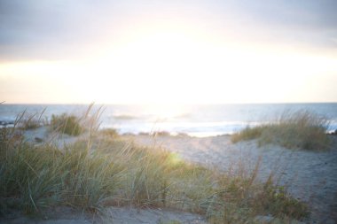 Gün batımında güzel plaj manzarası