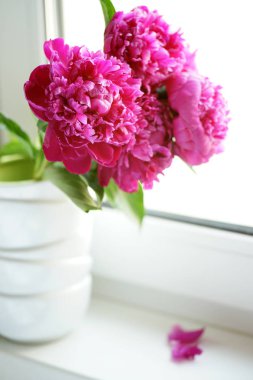 Güzel pembe şakayıklar. 