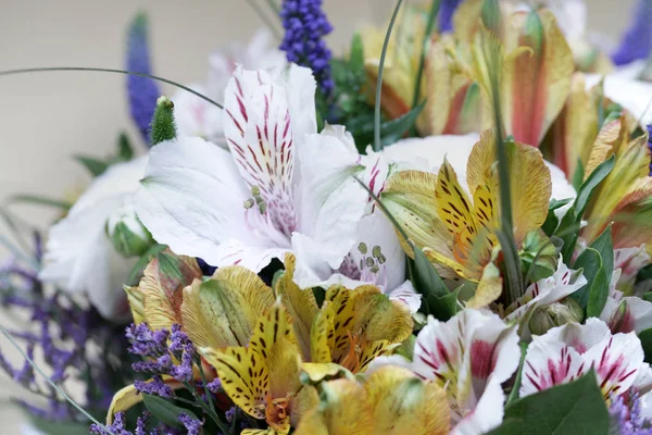 Hermoso Ramo Flores Coloridas — Foto de Stock