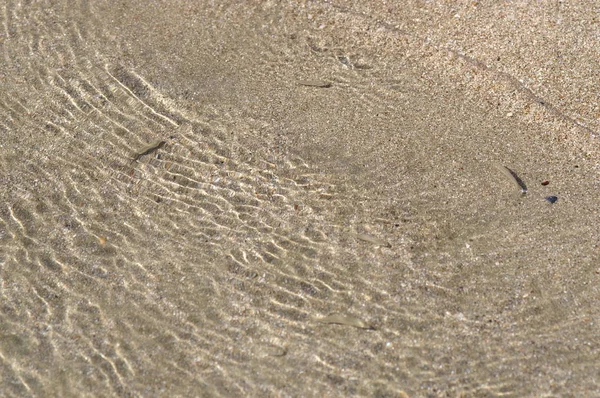 Zand Helder Water Kleine Visjes — Stockfoto