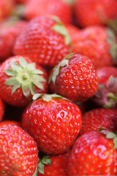 Lots Tasty Ripe Juice Red Strawberries — Stock Photo, Image