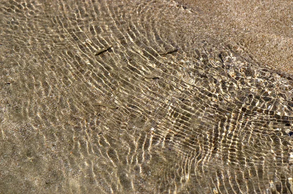 Areia Água Limpa Pequenos Peixes — Fotografia de Stock