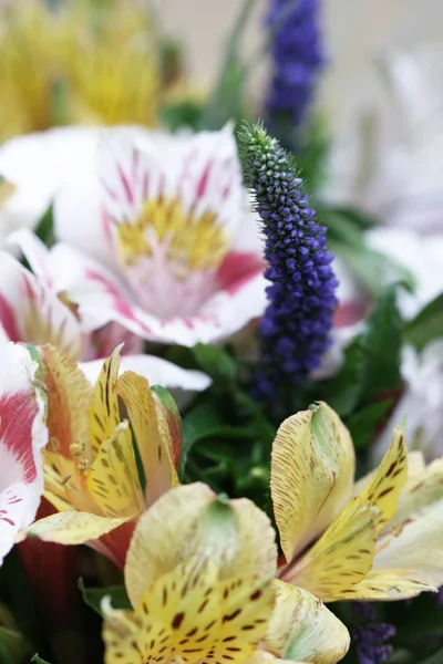 Hermoso Ramo Flores Coloridas — Foto de Stock