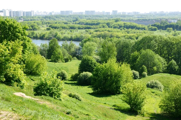 Zielone Pole Drzewami Rzeką — Zdjęcie stockowe