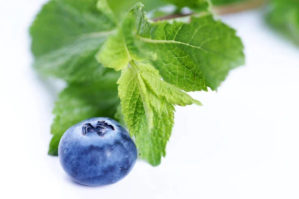 Sprigs Mint Blueberry Isolated White Background — Stock Photo, Image