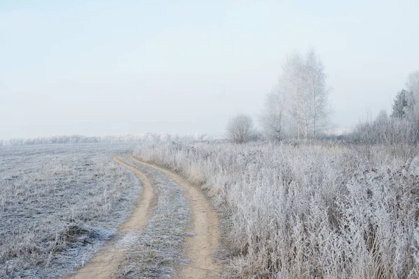 Neve Floresta Paisagem Inverno — Fotografia de Stock