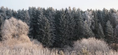 Güzel karlı kış manzarası