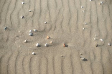 Sabahın köründe kumsal manzarası 