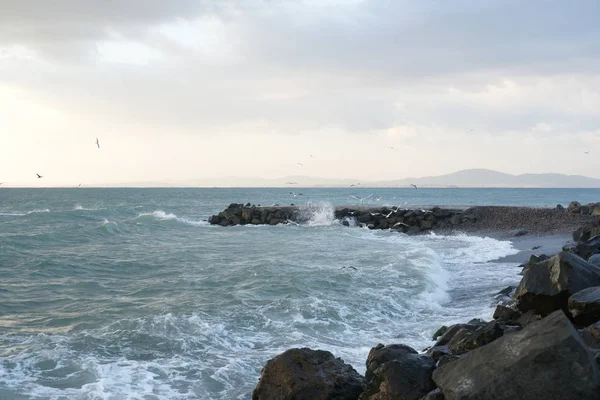 Wellen Der Küste Des Meeres Mit Pier Und Vögeln — Stockfoto