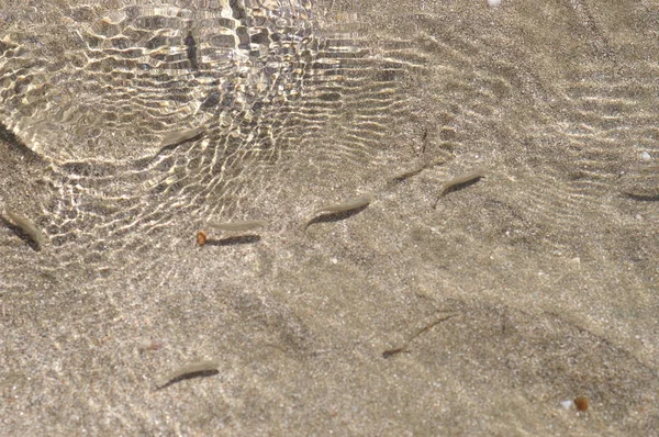 Άμμος Καθαρό Νερό Και Μικρά Ψάρια — Φωτογραφία Αρχείου