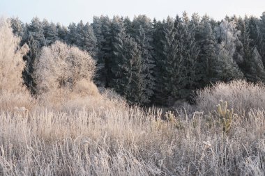 Güzel karlı kış manzarası