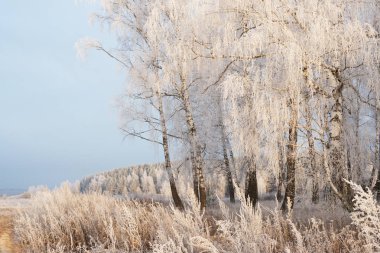 Güzel karlı kış manzarası