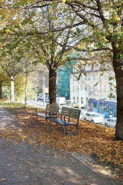 Sonbaharda parkta bir bank.