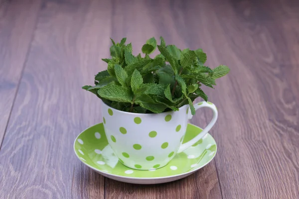 Fresh Green Bunch Mint Polka Dot Mug Brown Wooden Table — Stock Photo, Image