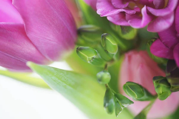 Schöner Strauß Rosa Blumen Nahsicht — Stockfoto