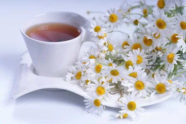 Tee Mit Kamille Auf Einem Holztisch — Stockfoto
