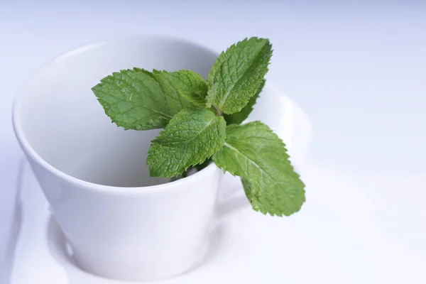 Tasse Blanche Vide Avec Brin Menthe Sur Soucoupe Ondulée Blanche — Photo