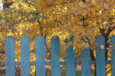 Sonbahar parkında eski ahşap çitler