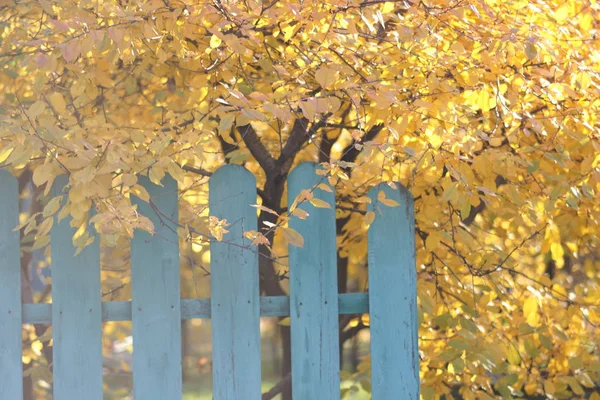 秋天公园或花园的旧木制栅栏 — 图库照片