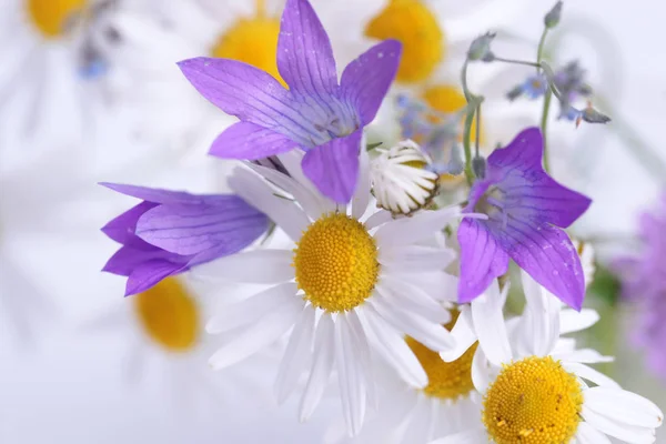 Белые Маргаритки Букет Фиолетовых Цветов Закрыть — стоковое фото