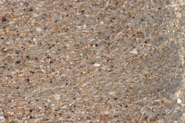 Grijze Zandtextuur Achtergrondzand Naadloze Textuur Van Zand Helder Zeewater — Stockfoto