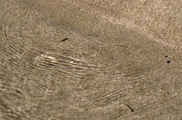 Areia Água Limpa Pequenos Peixes — Fotografia de Stock