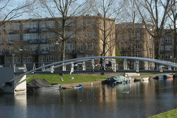 Amsterdam Şehir Canal — Stok fotoğraf