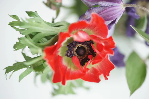 Bukiet Różnych Kolorowych Kwiatów — Zdjęcie stockowe