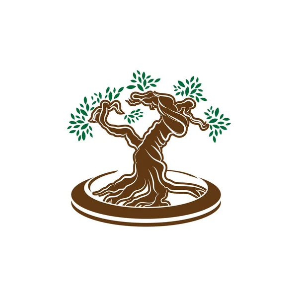 Japanisches Bonsaibaum Logo Pflanzensilhouette Symbole Auf Weißem Hintergrund Grüne Ökologie — Stockvektor