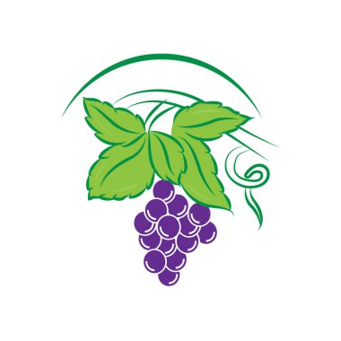 Şablon logosu ve amblemi tasarla - tat ve sıvı için - üzüm. Modaya uygun doğrusal logo