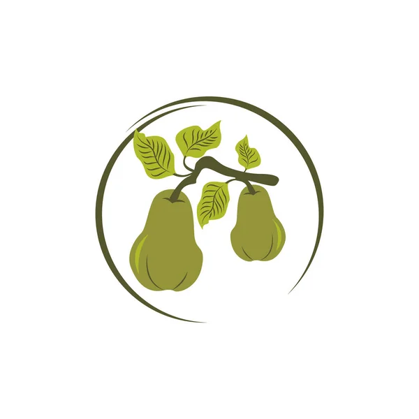 Frische Fruchtbirne Guave Apfel Avocado Logo Designvektorvorlage Eps — Stockvektor