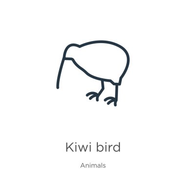 Kivi kuş ikonu. İnce doğrusal kivi kuş taslak simgesi beyaz arka planda hayvan koleksiyonundan izole edilmiş. Çizgi vektör işareti, ağ ve mobil sembolü