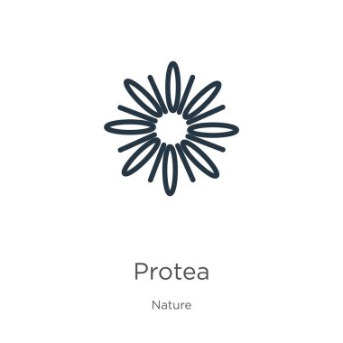Protein ikonu. Doğa koleksiyonundan beyaz arkaplanda izole edilmiş ince doğrusal protea taslak ikonu. Çizgi vektör işareti, ağ ve mobil sembolü