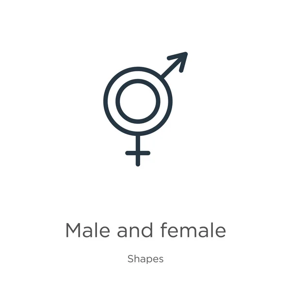 Man Vrouw Symbool Pictogram Dunne Lineaire Mannelijke Vrouwelijke Symbool Omtrek — Stockvector