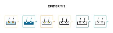 Epidermis vektör simgesi 6 farklı modern stilde. Siyah, iki renkli üst deri simgesi doldurulmuş, ana hatları çizilmiş, çizgi ve vuruş stiliyle dizayn edilmiş. Vektör illüstrasyonu ağ, mobil, ui için kullanılabilir