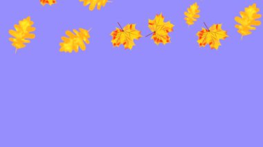 Düşen yapraklar, sonbahar arkaplanı, proje için arka plan
