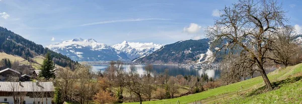 阿尔卑斯山全景与西拉湖 湖和阿尔卑斯山的春天全景在后面 — 图库照片