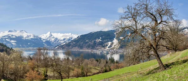 Panorama Alpes Com Zell See Lago Zeller Panorama Primavera Lago — Fotografia de Stock