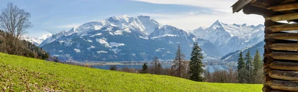 Panorama Des Alpes Avec Zell See Lac Zeller Panorama Printanier — Photo