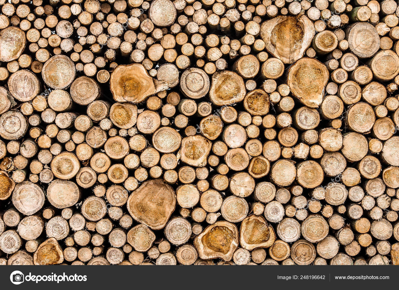 Stacked wood logs. Stock Photo by ©Tadeas 248196642
