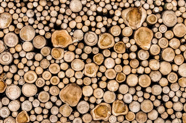 Stacked wood logs. — Stock Photo, Image