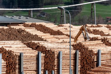 Testere değirmeninde stok kereste. Yükleyici testere fabrikasında çalışıyor. Bir sürü sandık, odun yığını..