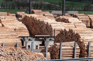 Testere değirmeninde stok kereste. Yükleyici testere fabrikasında çalışıyor. Bir sürü sandık, odun yığını..