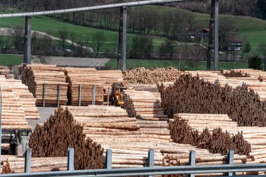 Testere değirmeninde stok kereste. Yükleyici testere fabrikasında çalışıyor. Bir sürü sandık, odun yığını..