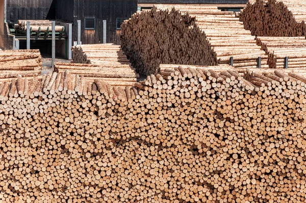 Stock timber in saw mill. Loader working in saw mill. A lot of trunks, stack of wood lumber.