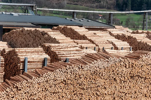Dřevo Pilovém Mlýnu Zavaděč Pracuje Pilárně Spousta Kmenů Hromada Dřevěných — Stock fotografie