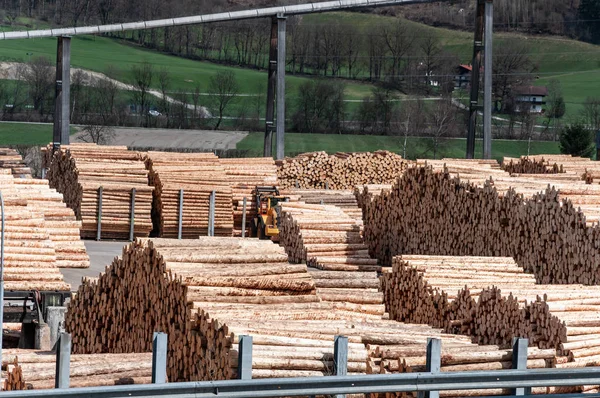 Madera Aserrada Aserradero Cargador Trabajando Aserradero Montón Troncos Montón Madera — Foto de Stock