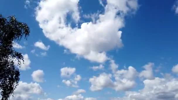 Ciel Bleu Time Lapse Clouds Sur Ciel Timelapse Vidéo — Video