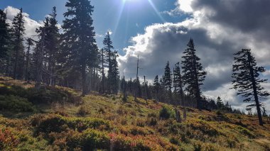 Dağların panorama görünümü 