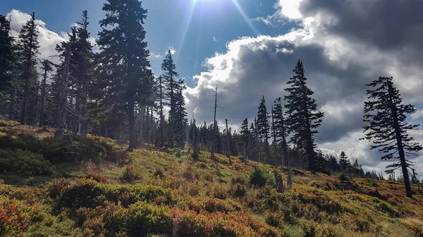 Hegyekre néző panoráma — Stock Fotó